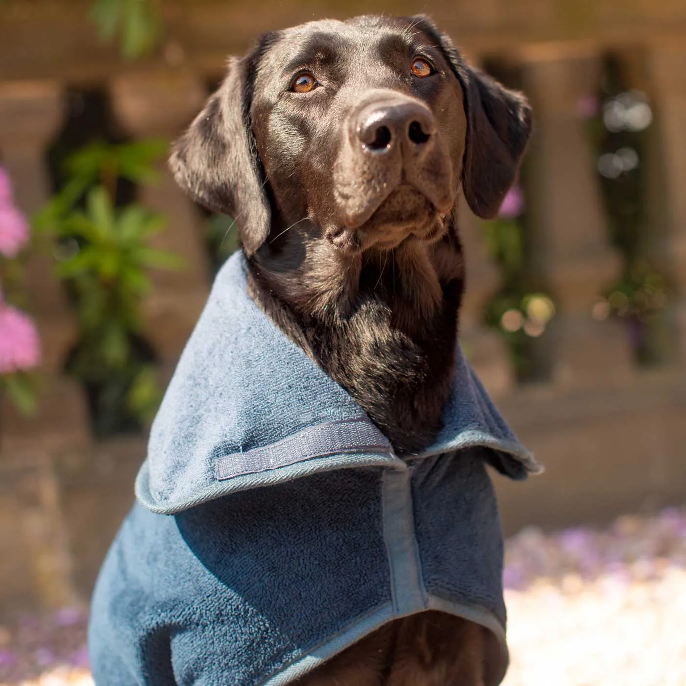 Bamboo Drying Coat in Navy by Lords & Labradors