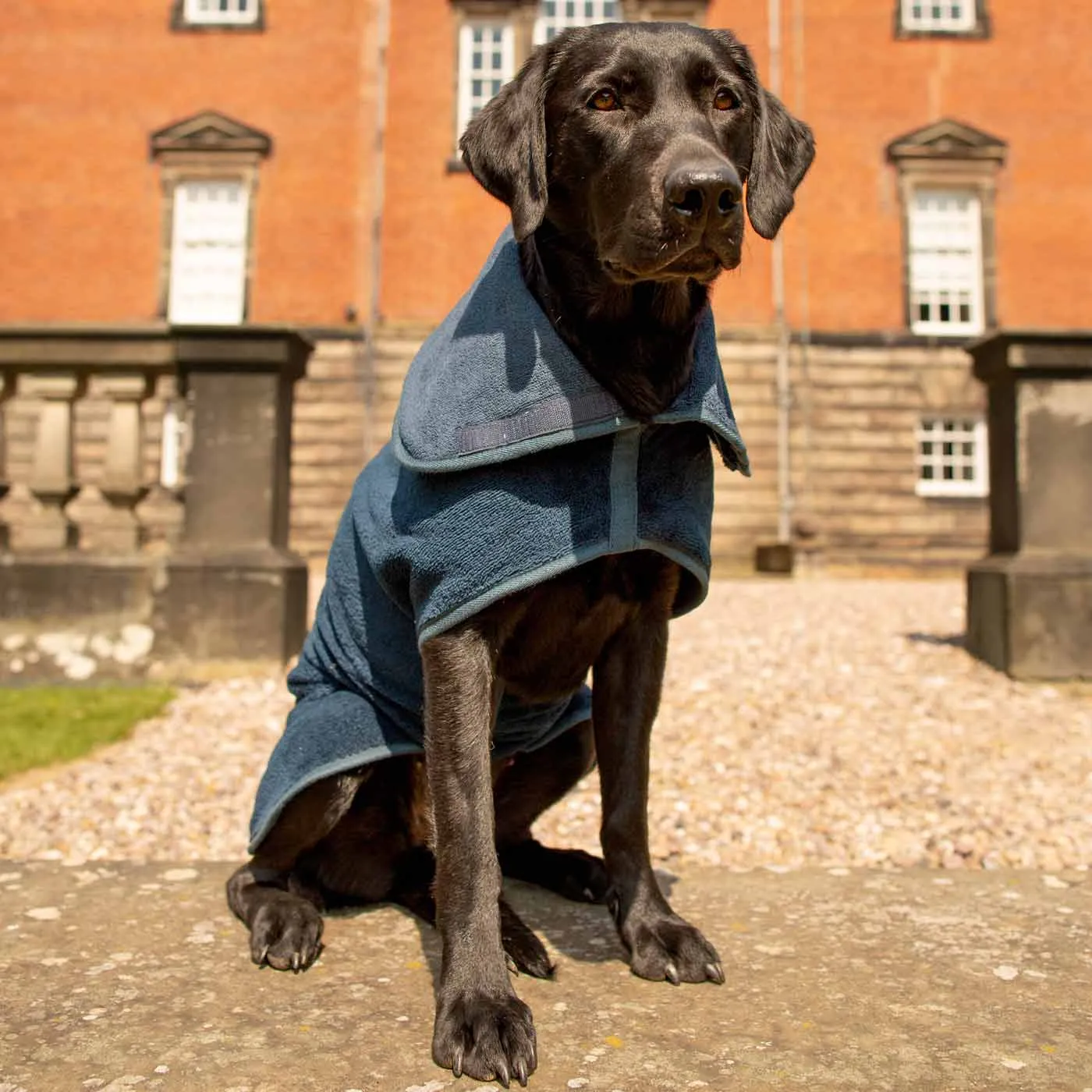 Bamboo Drying Coat in Navy by Lords & Labradors