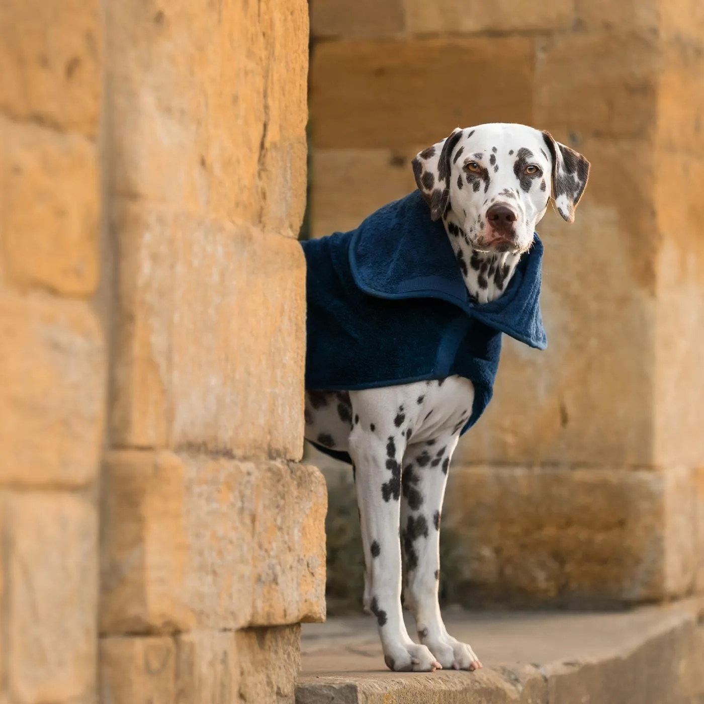 Bamboo Drying Coat in Navy by Lords & Labradors