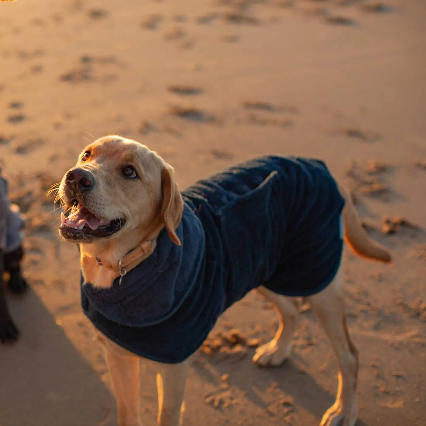 Bamboo Drying Coat in Navy by Lords & Labradors