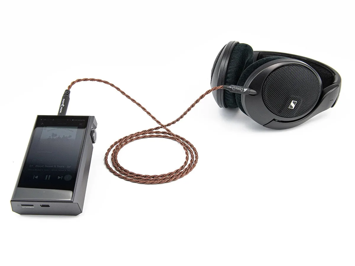 Bronze Dragon Portable Headphone Cable