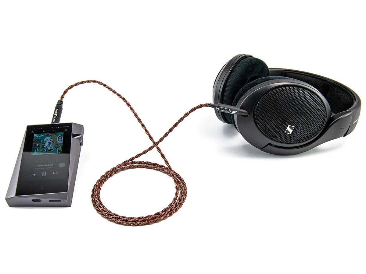 Bronze Dragon Portable Headphone Cable