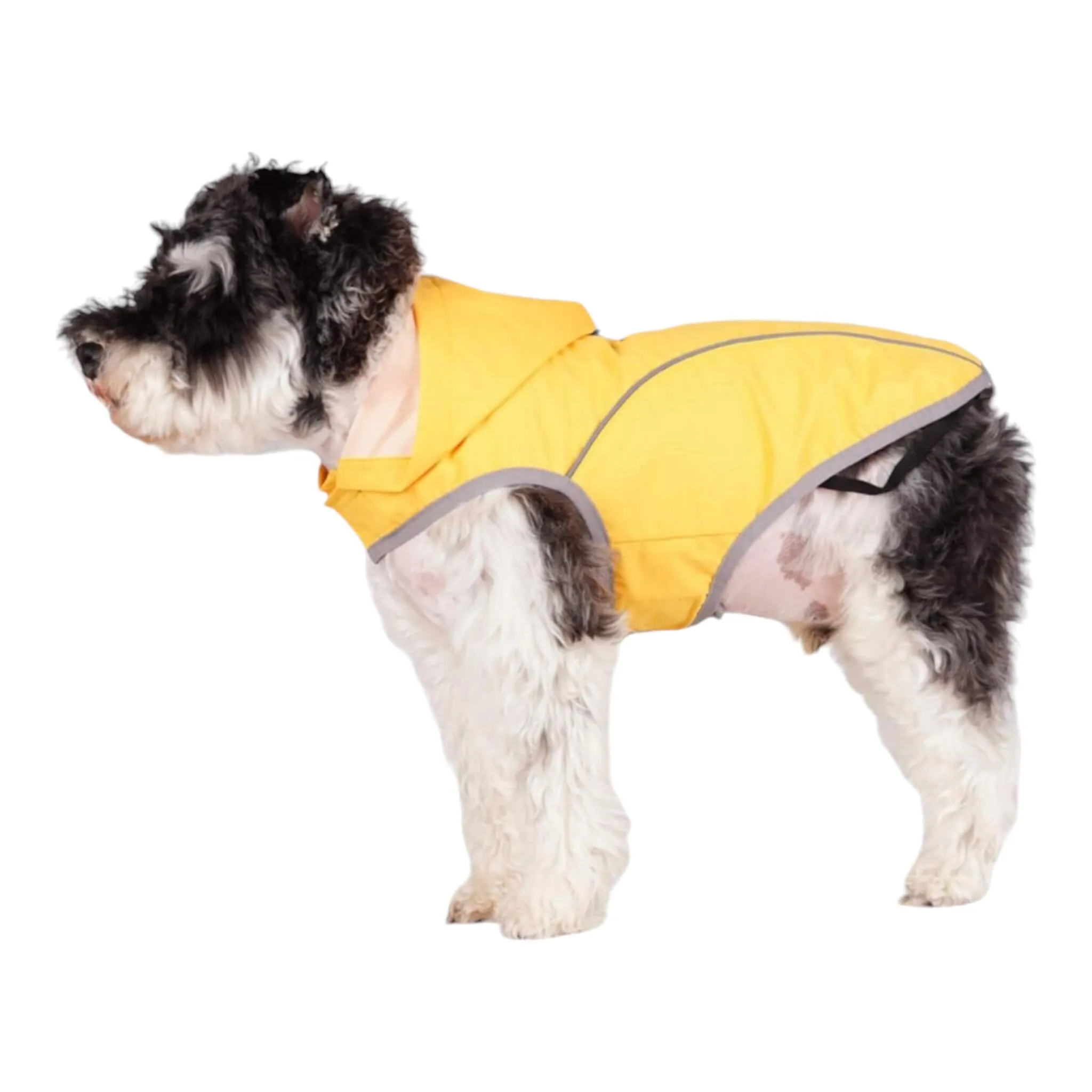 Cumbria Dog Raincoat