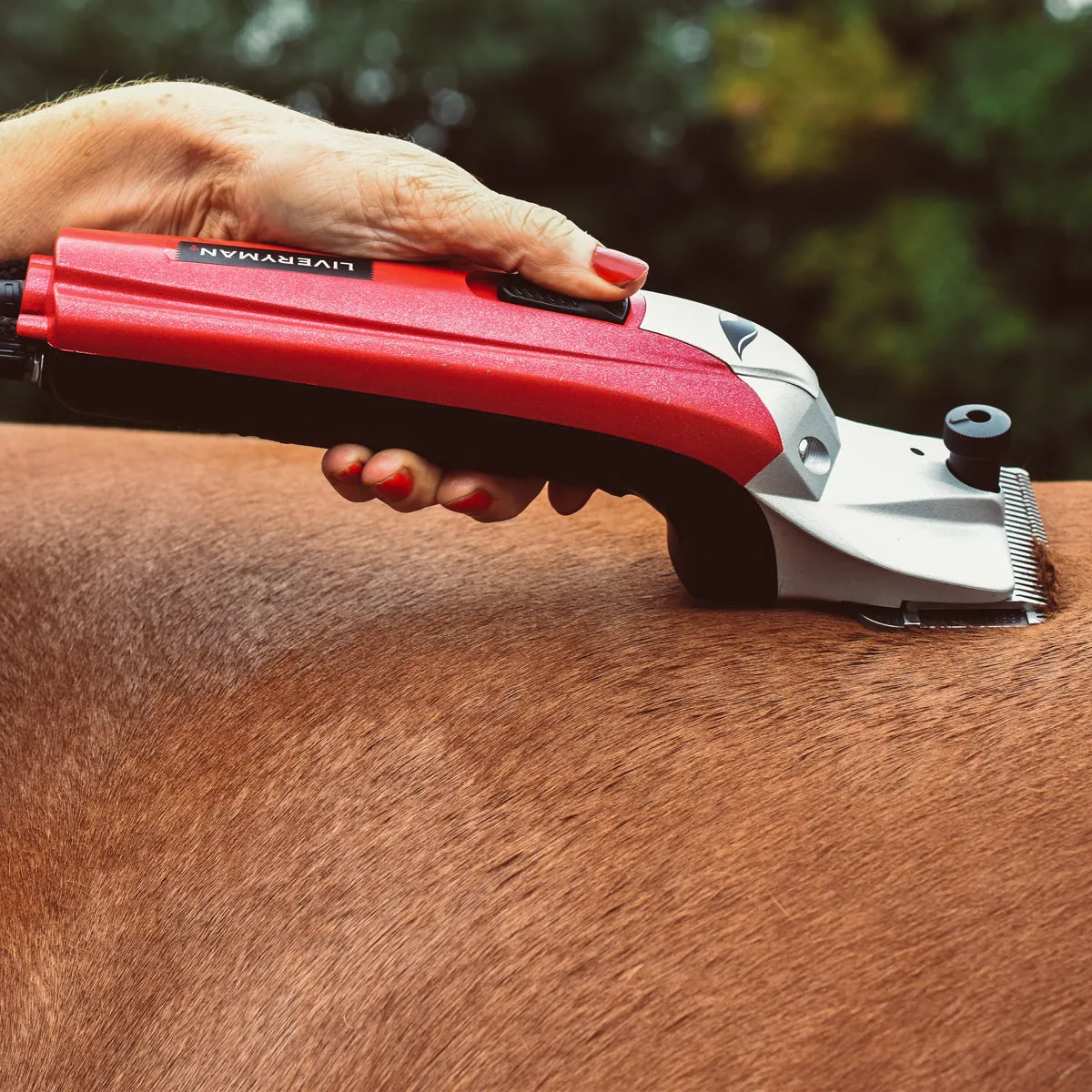 Liveryman Black Beauty Mains Horse Clippers